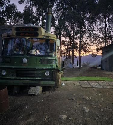 Banksia Bus