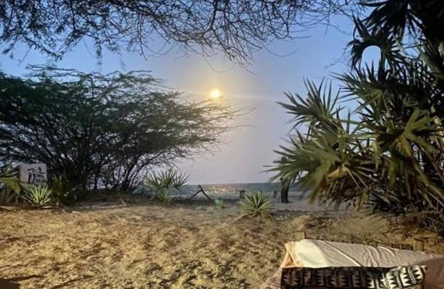 Barefoot Beach Camp