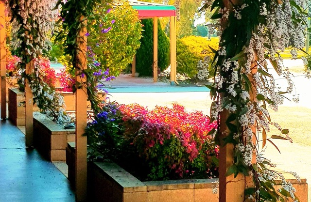Barooga Country Inn Motel