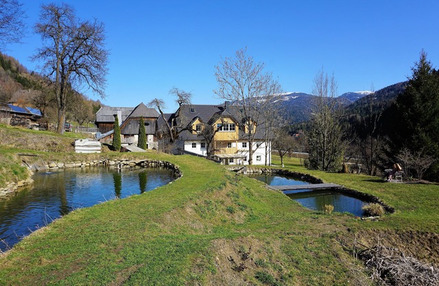 Barrier-free 85m2 apartment with garden access, pets allowed