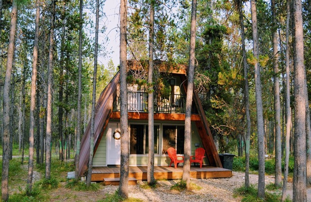 Basecamp @ Island Park - Completely renovated - 25 min to Yellowstone