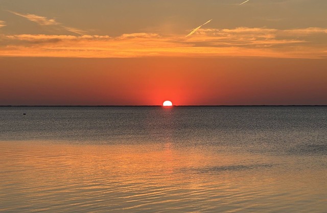 Bay Front Oasis, Magnificent Views, Kayaking/Fishing/Clamming, Swans/Birds