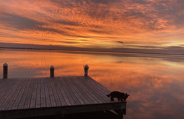 Bayfront Bungalow