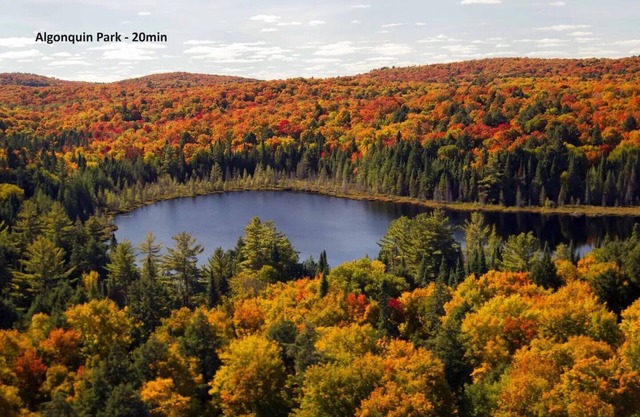 Bayview Bliss ~ 3BR Muskoka Cottage ~ Lake of Bays