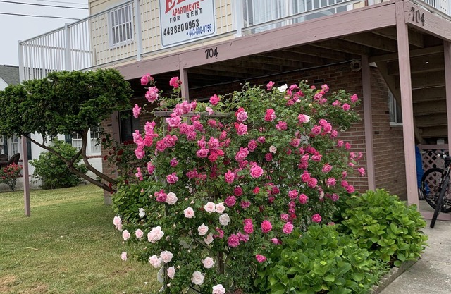 Beach Happy at Elis Apartments Unit 3