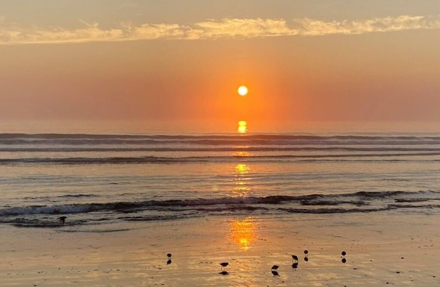 Beach House -discounted rates- 20 yards from Nantasket Beach