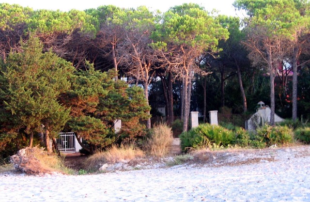Beach house in the pinewood with direct access to the beach in Sardinia