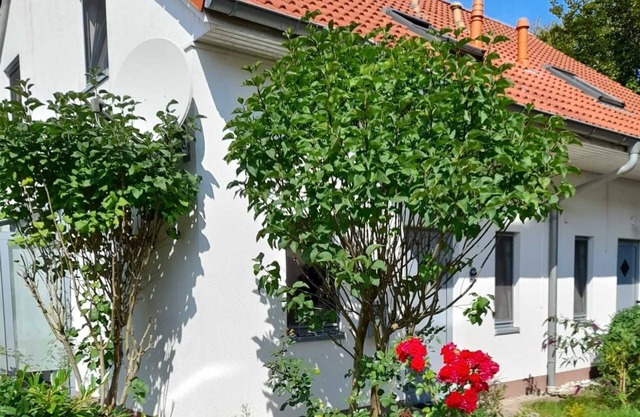 Beach house Mari - Holiday home Mari