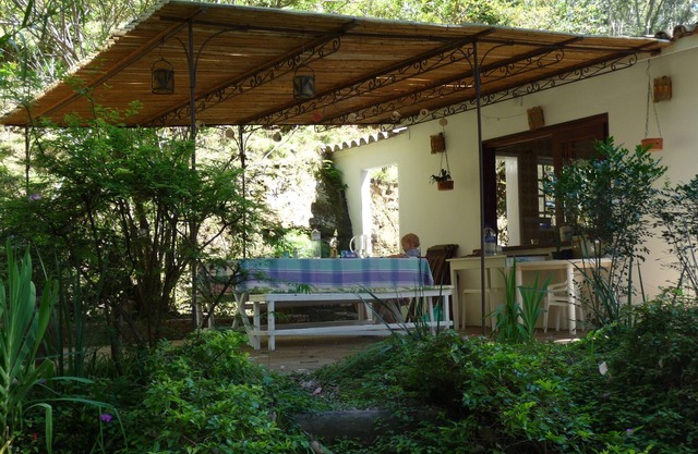 Beach house surrounded by a beautiful grove of eucalyptus trees, overlooking the sea