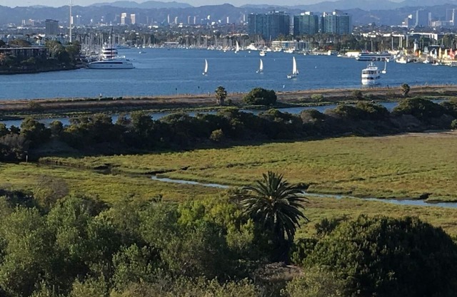 Beach Property in Los Angeles