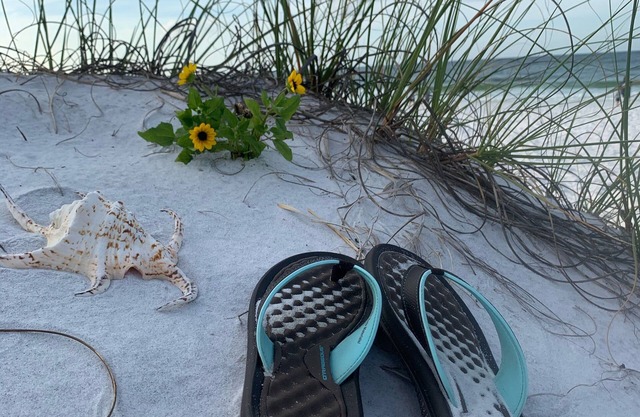 BEACHFRONT BEAUTY. AMAZING GULF VIEWS! OVERSIZED PATIO WITH DIRECT BEACH ACCESS.