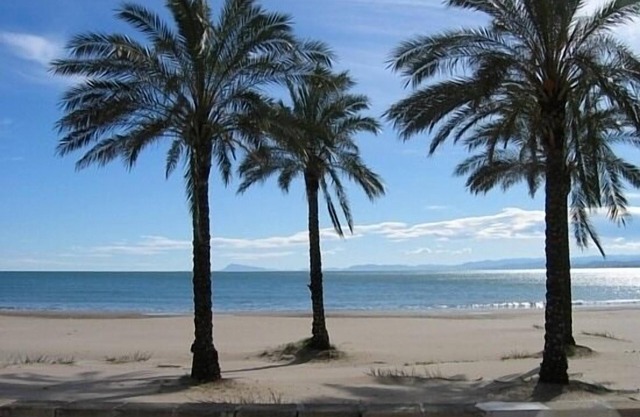 BEACHFRONT CONDO! DIRECT BEACH & POOL ACCESS .