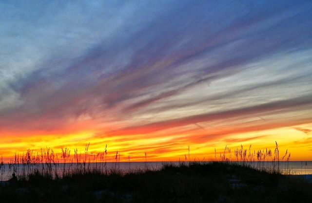 BEACHFRONT condo, sleeps 6, updated, stocked with everything, popular location