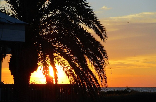 Beachfront Cottage With Beautiful Gulf View--Milky Way
