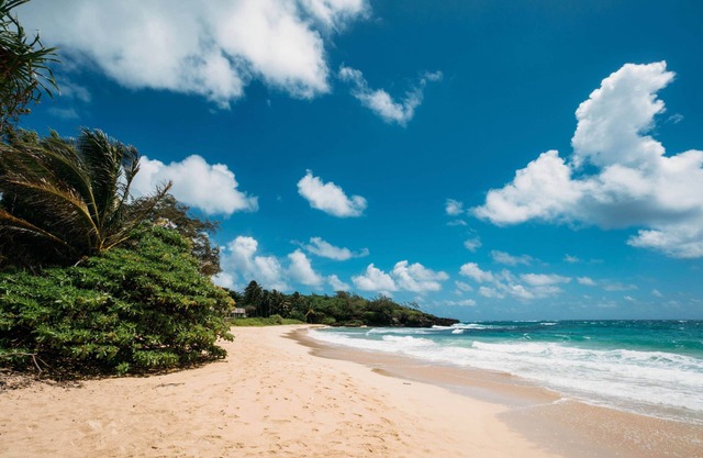 Beachfront Private, N. Shore & Legal Vacation!
