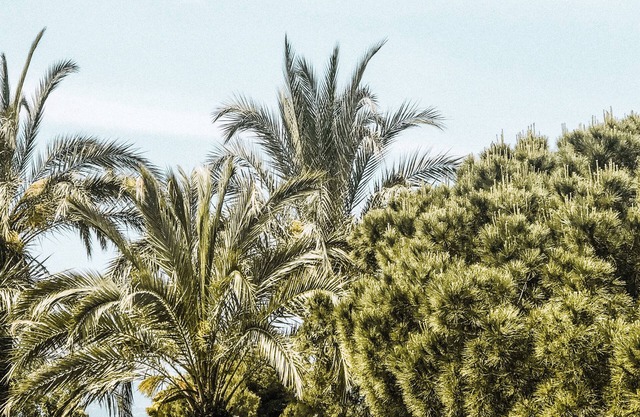 Beachfront Studio Cannes