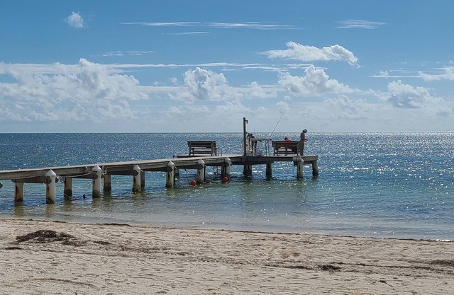 Beachfront townhome. Steps to the beach, dock, pool, and tennis w/pickle ball.