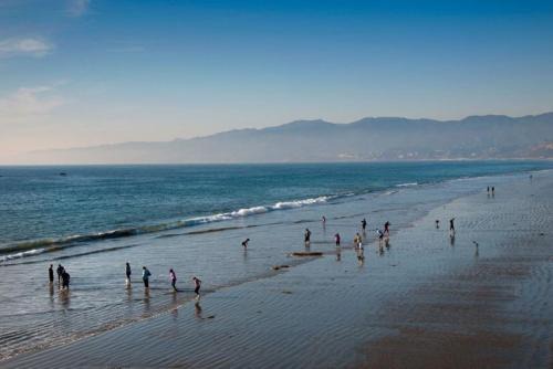 Beachside Luxury Apartment I Free Parking