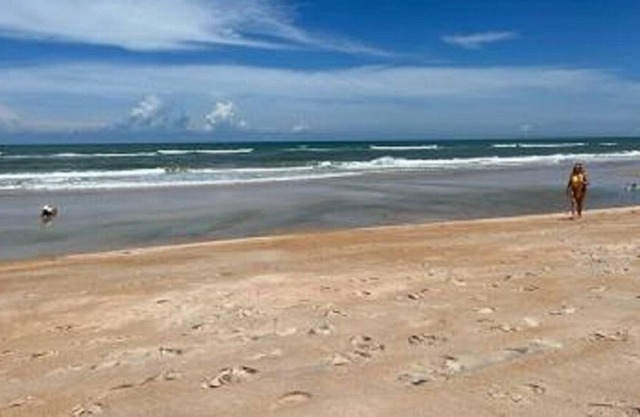 Beachside Townhouse Flagler Beach. 1 block to beach walkover.