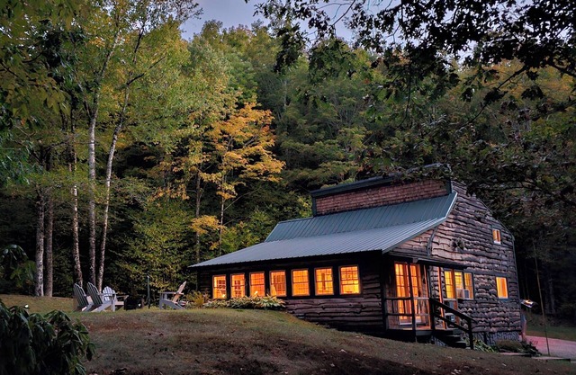 Bearbrook: A Cozy Mountain Cabin, hiking and outdoor adventures await you!