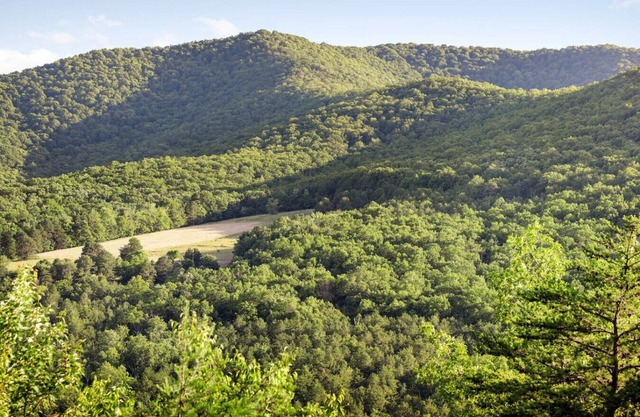 Bearloga:Hot Tub, Sauna, Stunning Views, 75 acres