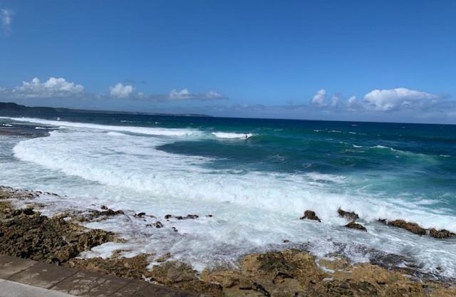 Beau studio proche de la mer