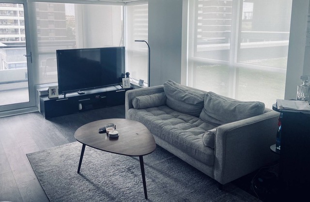 Beautiful 2 bedroom high raise view condo by subway station