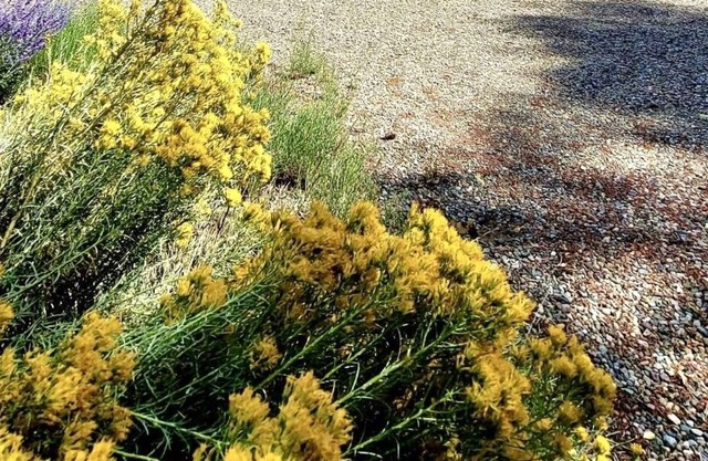 Beautiful Adobe Home- Walk or short drive to Arroyo Seco - 5th bedroom optional