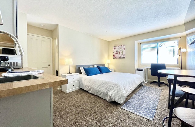 Beautiful And Updated Studio Condo In DTC!