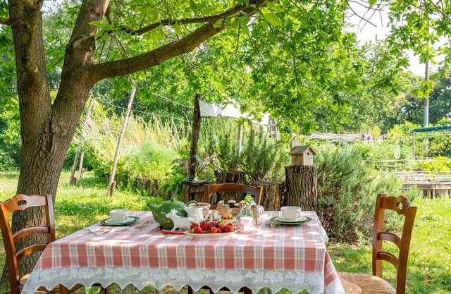 Beautiful apartment for 3 people with WIFI, TV, terrace and pets allowed