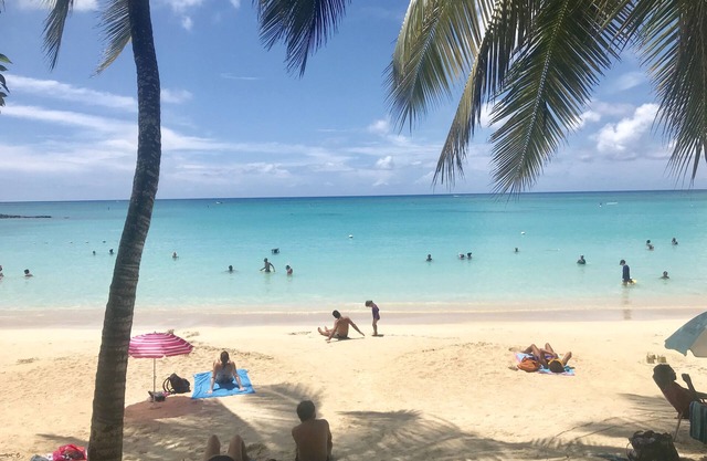 Beautiful apartment 5 min from Pereybere beach and also a 2nd apartment.