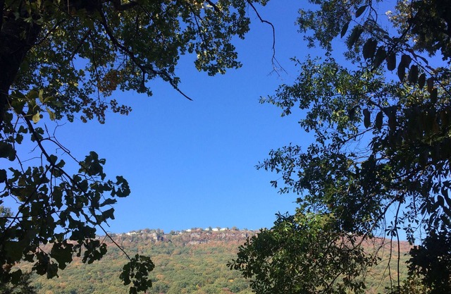 Beautiful Apartment for Your Vacation Stay in Chattanooga at"Mountain View"