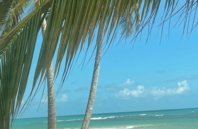 Beautiful Beach and El Yunque views! Perfect located, newly updated condo!