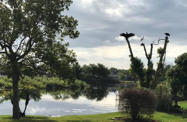 Beautiful bird sanctuary on the lake