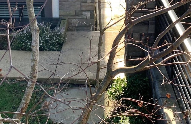 Beautiful, Bright, Cozy 2 bedrooms private Suite in a new house close to Airport