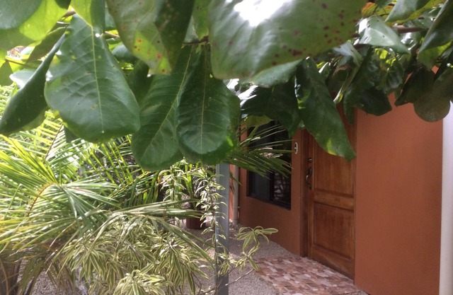 Beautiful casita "La Felicidad" near Samara