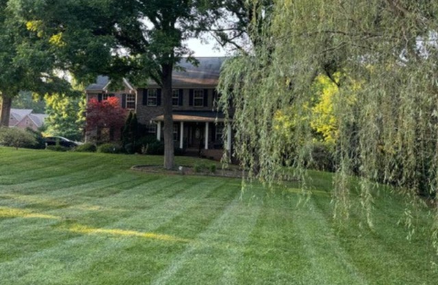 Beautiful Charlotte House