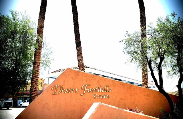 Beautiful Desert Oasis