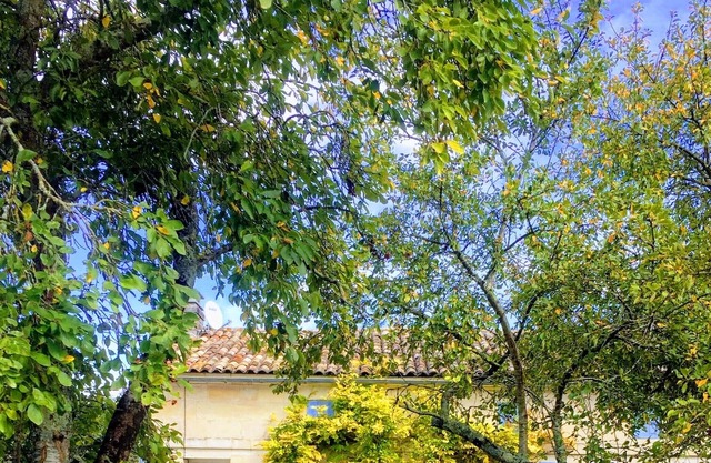 Beautiful Gite 1 hour from Bordeaux & La Rochelle