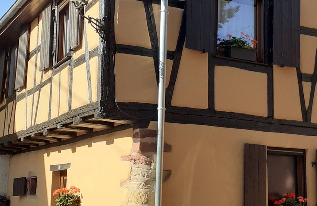 Beautiful holidays in Alsace, near Colmar - gîte de la Muse