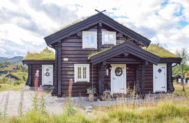 Beautiful home in Rauland with kitchen