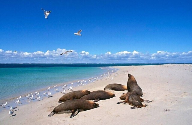 beautiful interiors, extensive gardens, Tennis Court