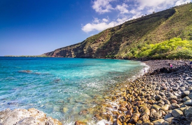 Beautiful Kealakekua Bay Home With Private Pool & Tropical Garden