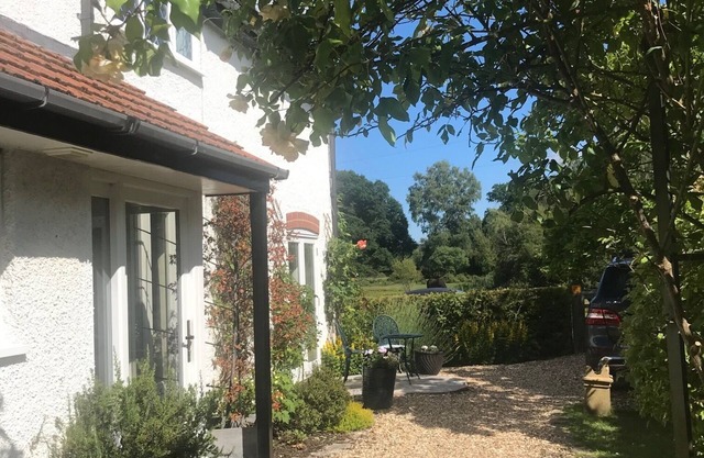 Beautiful New Forest cottage with direct forest access. Ponies at the gate!