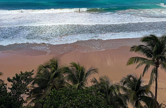 “Beautiful oceanfront apartment with access to the beach”