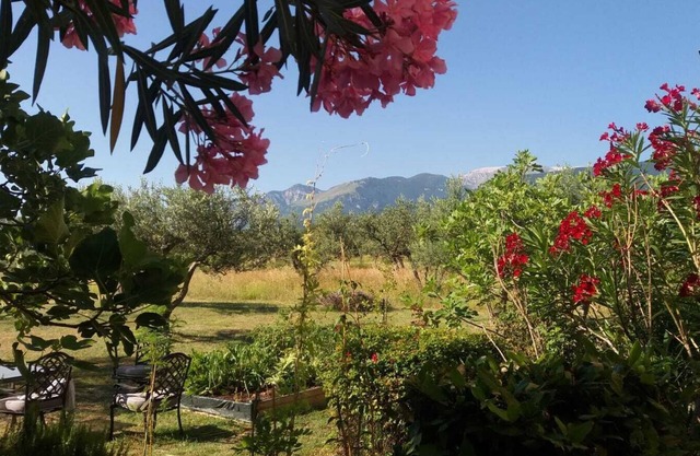 Beautiful old stone farmhouse apartment in Abruzzo, this year with a pool!