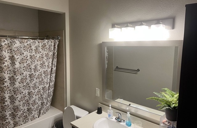 Beautiful one bedroom apartment