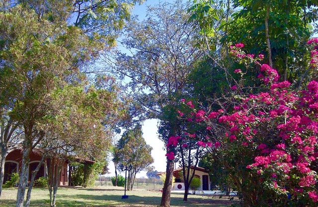 Beautiful place with WIFI, C. Headquarters w / 2 swimming pools, barbecue, pizza oven, fireplace