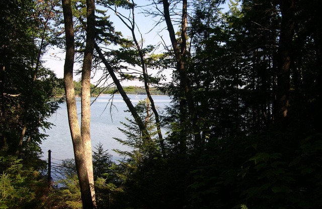 Beautiful, Private Cottage Five Minute Walk to the Beach