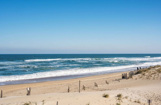 Beautiful Pup-Friendly Oceanfront Resort with Gym, Pool & Games! Well Stocked!